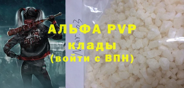 эйфоретик Гусь-Хрустальный