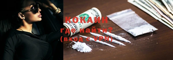 ECSTASY Пересвет