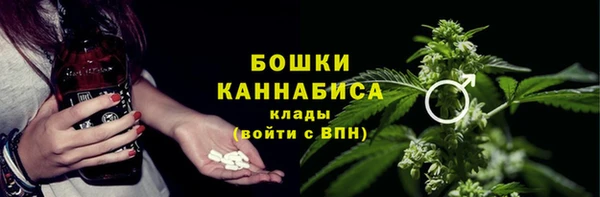 ECSTASY Пересвет