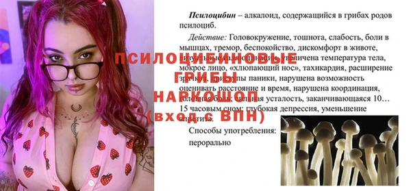 ECSTASY Пересвет
