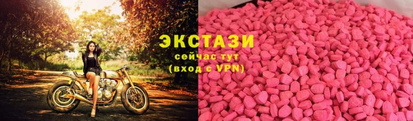 ECSTASY Пересвет