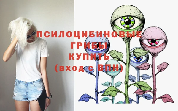 твердый Переславль-Залесский