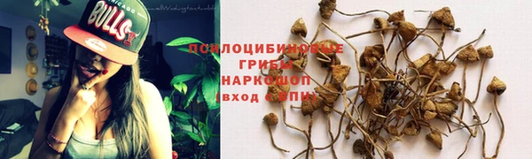 твердый Переславль-Залесский