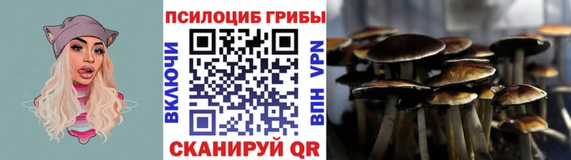 Галлюциногенные грибы Magic Shrooms  маркетплейс наркотические препараты  Белоярский  что такое   МЕГА ССЫЛКА 
